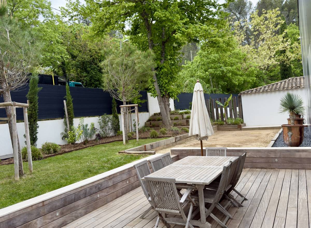 rosier iceberg le long d'un chemin