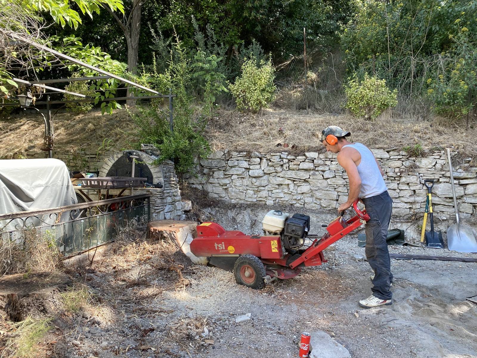 Rognage des souches : pourquoi, comment et avantages