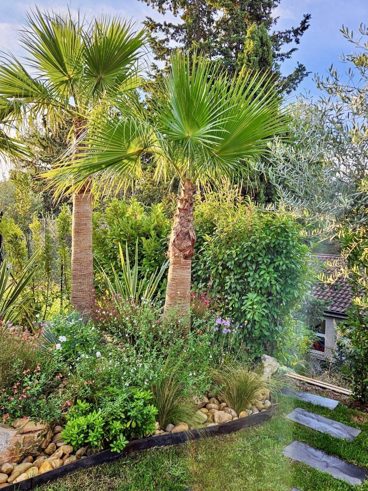 Terrasse végétalisée