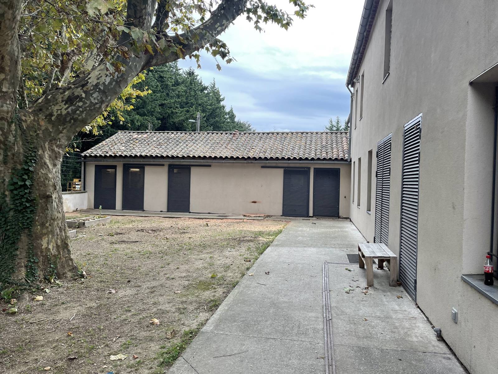 abattage d'un platane gênant dans le Gard