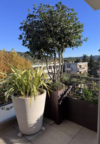 Aménagement d'une terrasse à Aix en Provence (13)
