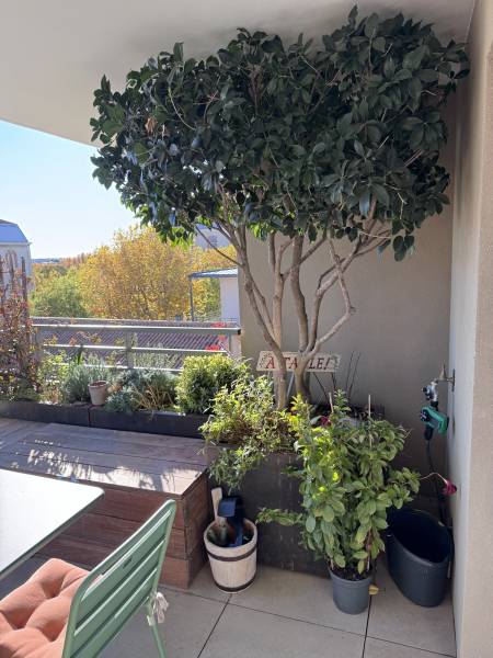 Aménagement d'une terrasse à Aix en Provence (13)