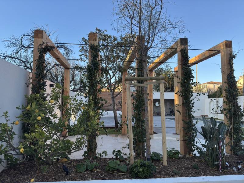 pergola sur mesure en bois de Douglas