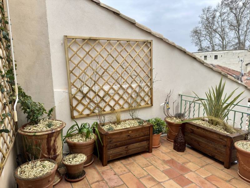 treillis en bois pour plantes grimpantes