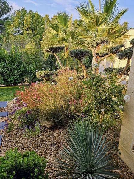 massif avec olivier nuage