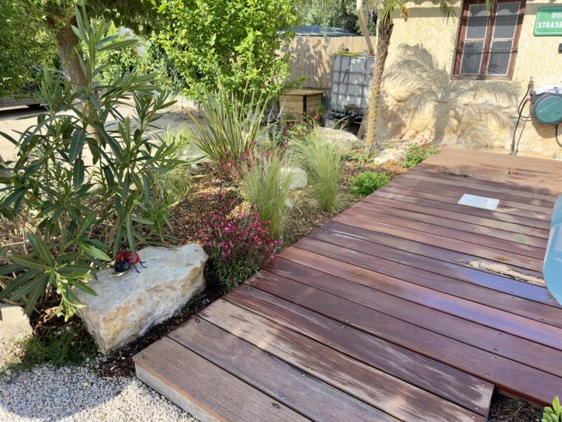 plantations variées