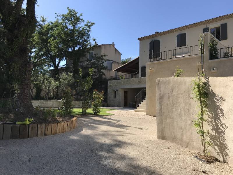 plantation de jasmin grimpant