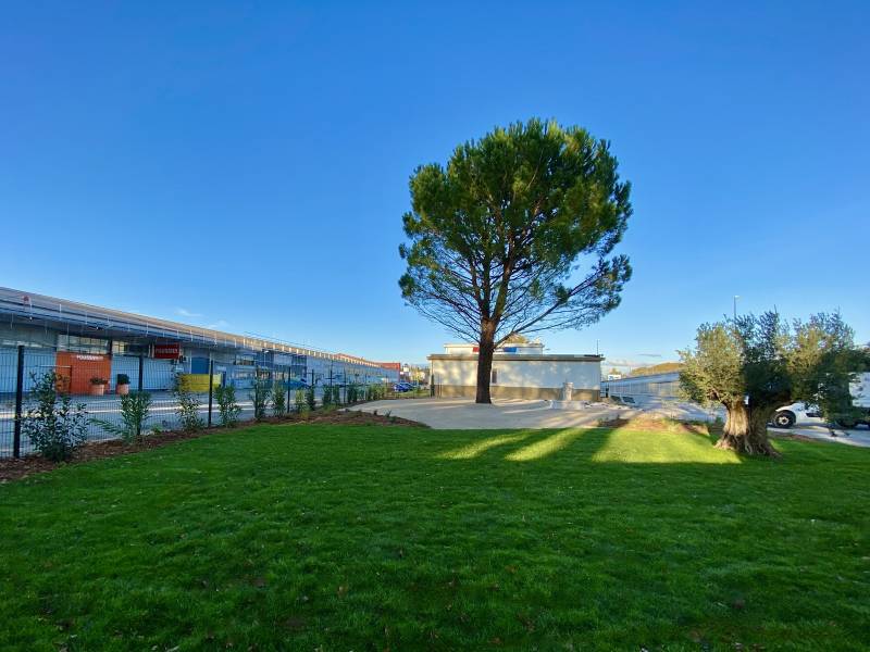 pose de gazon en plaque