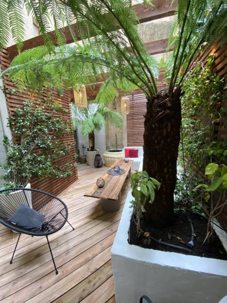 terrasse en bois avec bananier en pot 