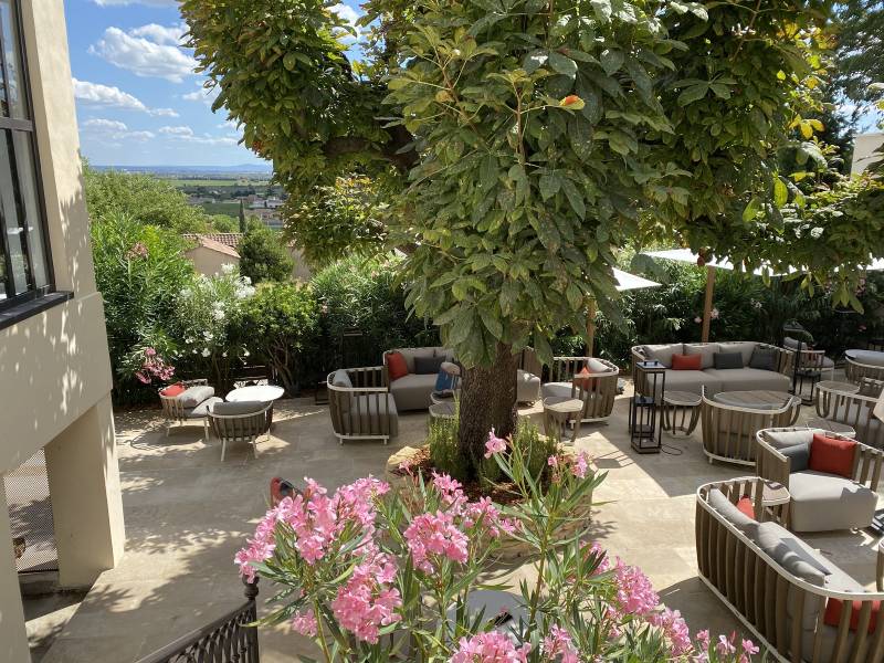 Aménagement de végétaux pour ombrager une terrasse de restaurant dans le vaucluse