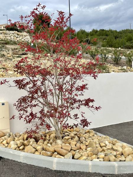 plantation dans lotissement