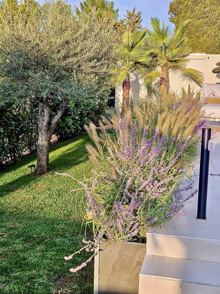 jardinières fleuries