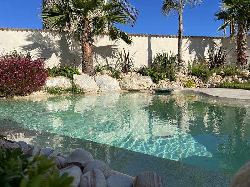 Création et aménagement d'un jardin paysager autour d'un bassin/piscine naturelle