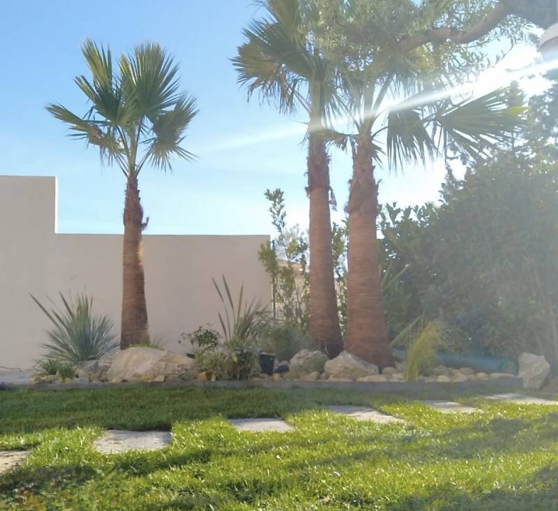 Création et aménagement de massifs végétalisés à Villeneuve les Avignon dans le Gard (30)