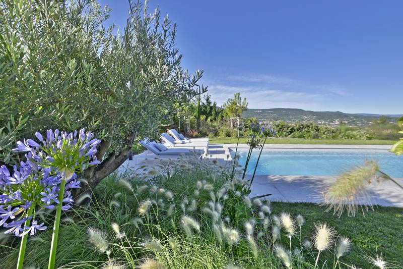 Superbe jardin provencal dans le Lubéron
