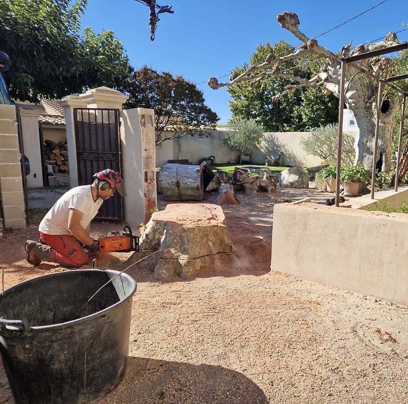 Abattage d'un arbre platane gênant sur une habitation privée à L'isle sur la Sorgue (84) dans le Vaucluse