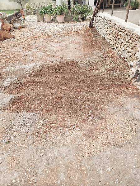 Abattage d'un arbre platane gênant sur une habitation privée à L'isle sur la Sorgue (84) dans le Vaucluse