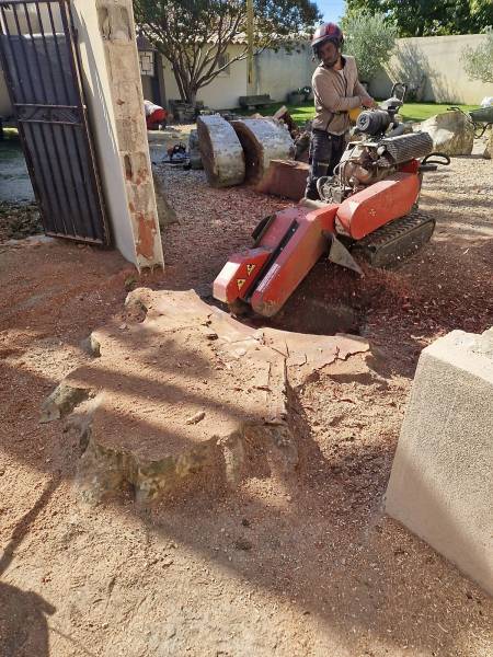 Abattage d'un arbre platane gênant sur une habitation privée à L'isle sur la Sorgue (84) dans le Vaucluse