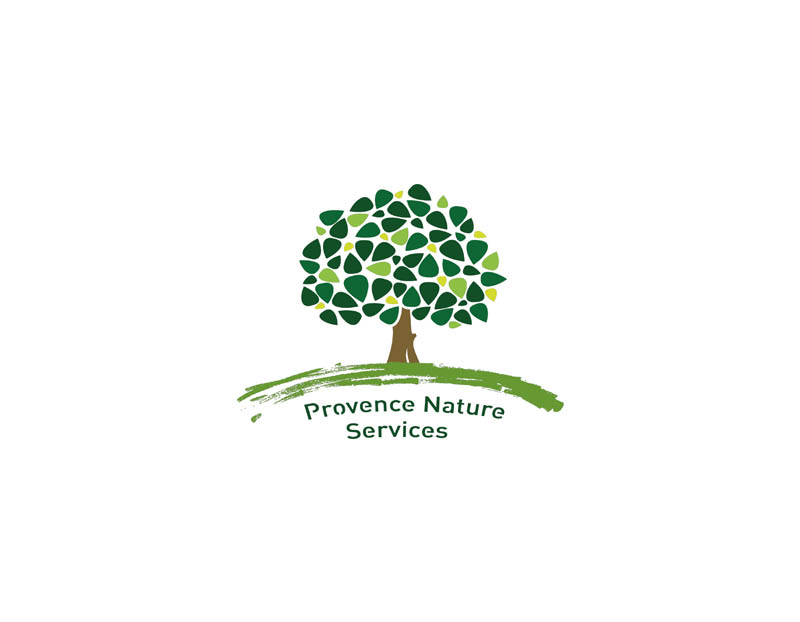 La conception d'un jardin : L'importance des plans d'aménagement par Provence nature services (84)