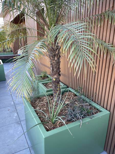 aménagement paysager terrasse Marseille