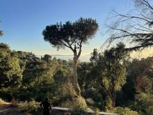 Notre zone d'activité pour ce service Qui appeler pour refaire et embellir un espace jardin à Aix-en-Provence Bouches-du-Rhône ?