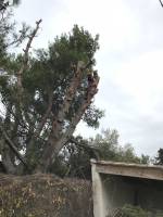 Nos prestations sur le secteur de Saint-Rémy-de-Provence Alpilles
