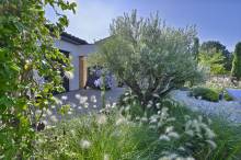 Notre zone d'activité pour ce service Service d'élagage d'arbre micocoulier envahissant à